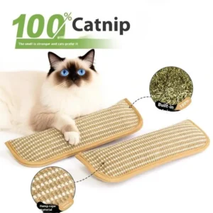 【QTG332】Catnip Pillow Teeth Grinding And Anti Bite Wear Resistant Cat Toy Cat's Self Pleasure Relieving Paw Grinding Toy