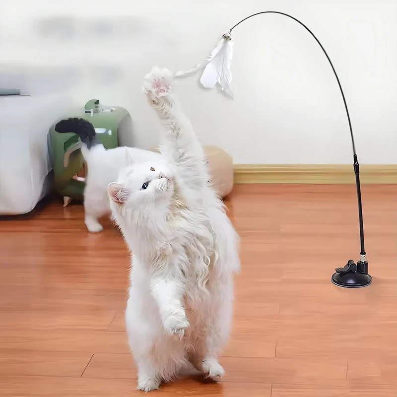 Best Ways to Introduce Puzzle Toys to Your Cat