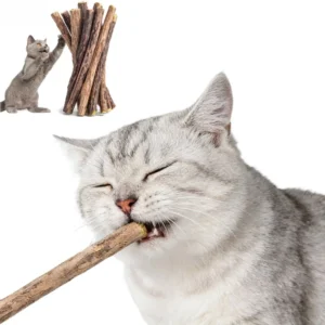 Woodruff Sticks Gatera Grass Cats Toys Wooden Cat Toy For Cats Natural Catnip Molar Chewing Toys Healthy Fun Pet Supplies