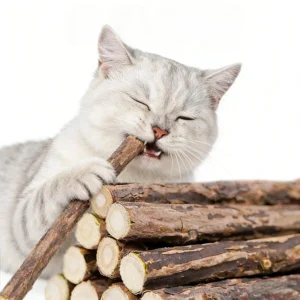 Woodruff Sticks for Cats Natural Catnip Chew Sticks Teeth Molar Chewing Toys Dental Cleaning Treats for Kitty Pet Supplies Gifts